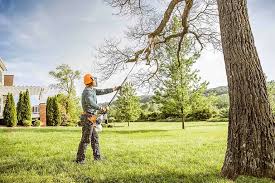 Best Lawn Mowing  in Blackshear, GA